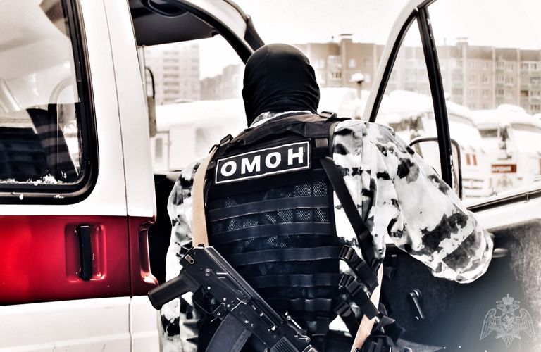 Росгвардейцы в Воронежской области обезвредили банду похитителей скота