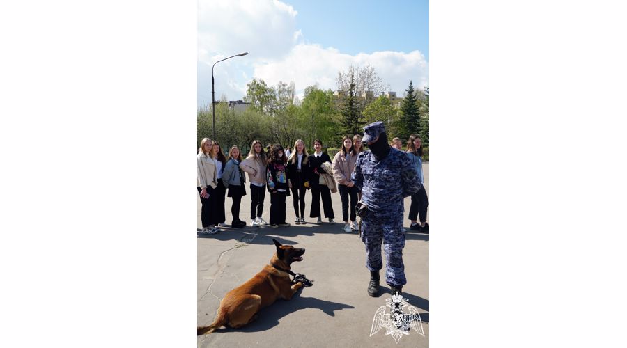 В Воронеже росгвардейцы организовали День призывника для молодежи допризывного возраста