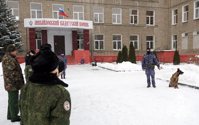 Показательные выступления  «Четвероногие герои» провели сотрудники Росгвардии в Воронеже 