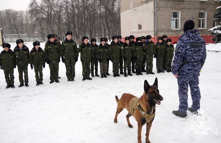 Показательные выступления  «Четвероногие герои» провели сотрудники Росгвардии в Воронеже 