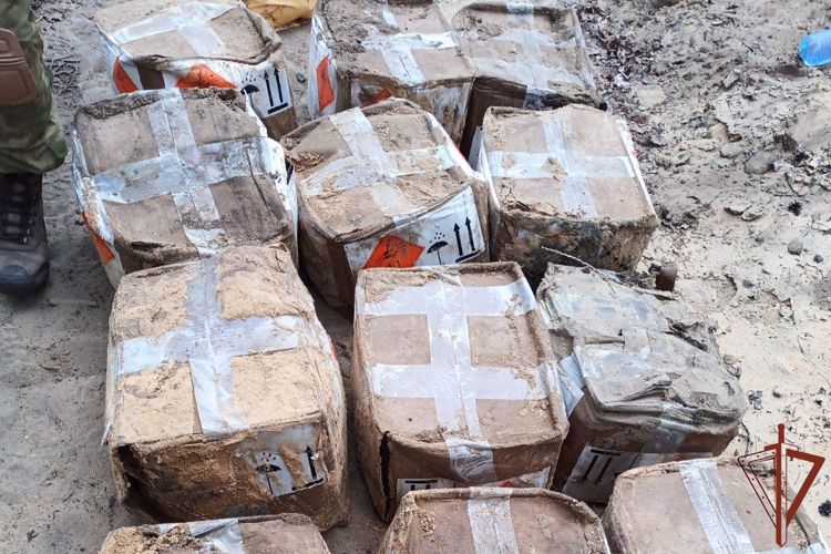 РОСГВАРДЕЙЦЫ В ЛНР ОБЕЗВРЕДИЛИ СВУ ВЕСОМ В ТОННУ