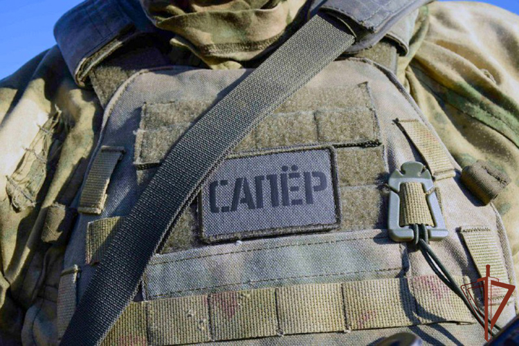 РОСГВАРДЕЙЦЫ ОБНАРУЖИЛИ КРУПНЫЙ СХРОН С ВООРУЖЕНИЕМ И БОЕПРИПАСАМИ В ЗАПОРОЖСКОЙ ОБЛАСТИ
