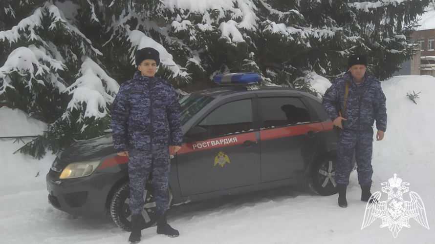 В Воронежской области сотрудники Росгвардии пресекли факт пьяного вождения