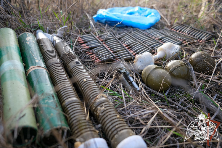 ДЕВУШКА-КИНОЛОГ ОБНАРУЖИЛА НЕСКОЛЬКО ТАЙНИКОВ С БОЕПРИПАСАМИ В ЗОНЕ СВО       
