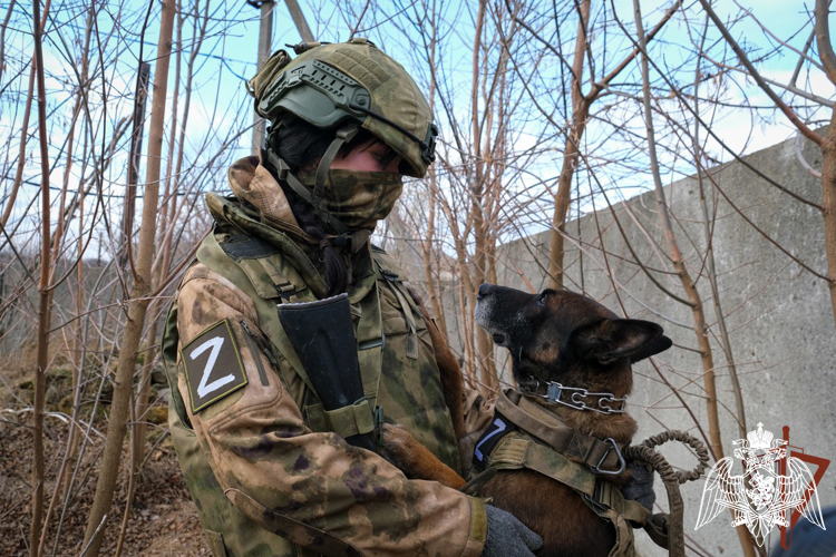 ДЕВУШКА-КИНОЛОГ ОБНАРУЖИЛА НЕСКОЛЬКО ТАЙНИКОВ С БОЕПРИПАСАМИ В ЗОНЕ СВО       