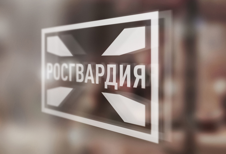 Более 200 проверочных мероприятий проведено за неделю сотрудниками подразделений лицензионно-разрешительной работы Управления Росгвардии по Воронежской области