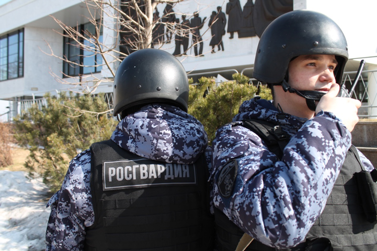 Воронежские росгвардейцы по горячим приметам задержали хулигана за порчу имущества