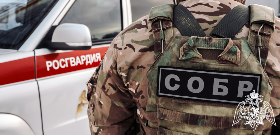При силовой поддержке СОБР «Дон» Росгвардии в Воронеже пресечена деятельность группы, занимавшейся трансляциями порнографии