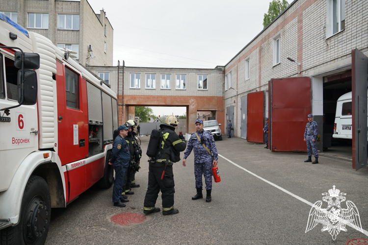 В ВОРОНЕЖЕ РОСГВАРДИЯ И МЧС ПРОВЕЛИ СОВМЕСТНУЮ ПОЖАРНО-ТАКТИЧЕСКУЮ ТРЕНИРОВКУ