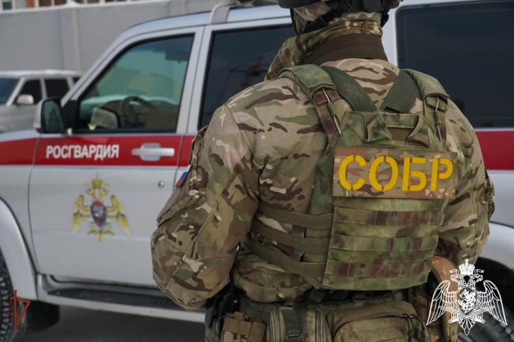 В Воронеже росгвардейцы приостановили коррупционную деятельность сотрудников налоговой инспекции