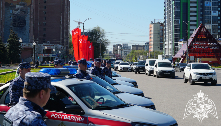 В Воронеже росгвардейцы присоединились к Всероссийской акции «Бессмертный автополк»