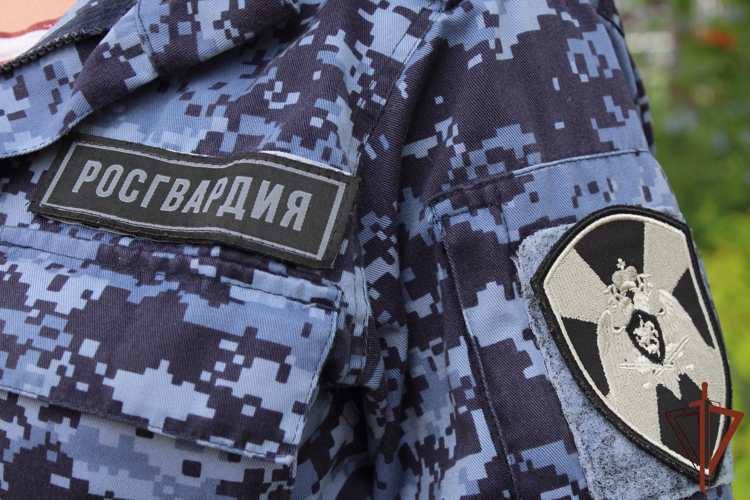 РОСГВАРДИЯ ПРИНЯЛА УЧАСТИЕ В ОБЕСПЕЧЕНИИ ПРАВОПОРЯДКА В ПЕРИОД ПРАЗДНОВАНИЯ ДНЯ МОЛОДЕЖИ