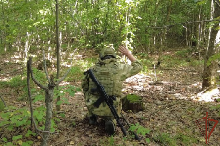 САПЁРЫ РОСГВАРДИИ УНИЧТОЖИЛИ СХРОН ВСУ С ПРОТИВОПЕХОТНЫМИ МИНАМИ В ХАРЬКОВСКОЙ ОБЛАСТИ 