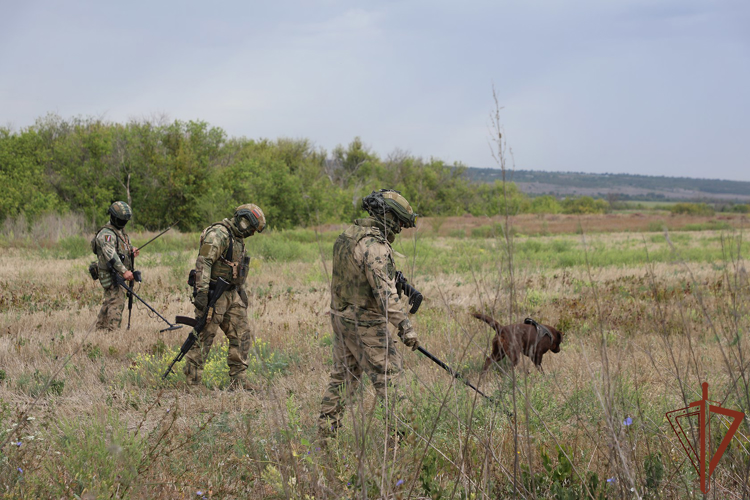 РОСГВАРДЕЙЦЫ ОБНАРУЖИЛИ СКЛАД ИНЖЕНЕРНЫХ БОЕПРИПАСОВ ВСУ В ЛНР
