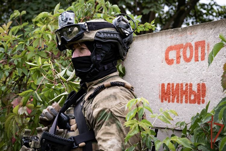 СОТРУДНИКИ РОСГВАРДИИ УНИЧТОЖИЛИ МИНЫ И АРТИЛЛЕРИЙСКИЕ СНАРЯДЫ В ДНР