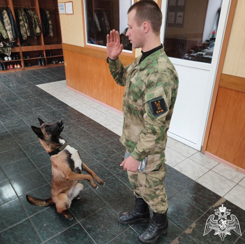 Воронежский офицер Росгвардии впервые провел занятие по первой ветеринарной помощи