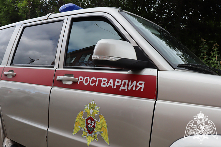 БОЛЕЕ 250 РАЗ ЗА НЕДЕЛЮ РОСГВАРДЕЙЦЫ В ВОРОНЕЖСКОЙ ОБЛАСТИ ВЫЕЗЖАЛИ ПО СИГНАЛУ «ТРЕВОГА»
