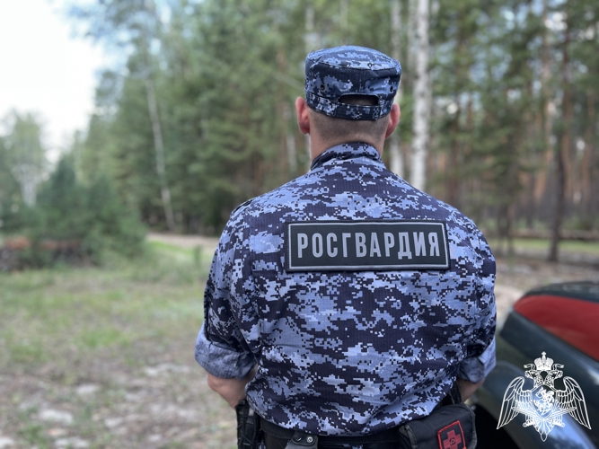 БОЛЕЕ 290 РАЗ ЗА НЕДЕЛЮ РОСГВАРДЕЙЦЫ В ВОРОНЕЖСКОЙ ОБЛАСТИ ВЫЕЗЖАЛИ ПО СИГНАЛУ «ТРЕВОГА»