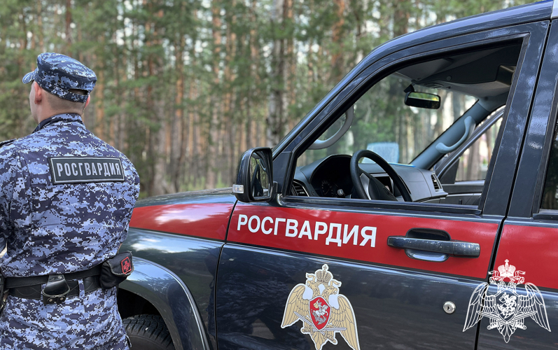 БОЛЕЕ 200 РАЗ ЗА НЕДЕЛЮ РОСГВАРДЕЙЦЫ В ВОРОНЕЖСКОЙ ОБЛАСТИ ВЫЕЗЖАЛИ ПО СИГНАЛУ «ТРЕВОГА»