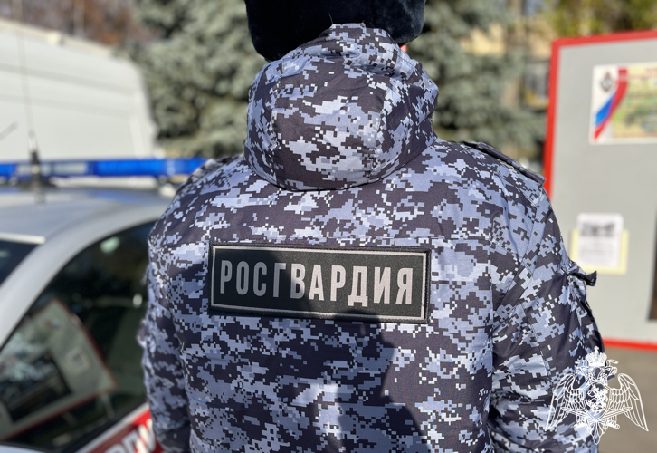 БОЛЕЕ 190 РАЗ ЗА НЕДЕЛЮ РОСГВАРДЕЙЦЫ В ВОРОНЕЖСКОЙ ОБЛАСТИ ВЫЕЗЖАЛИ ПО СИГНАЛУ «ТРЕВОГА»