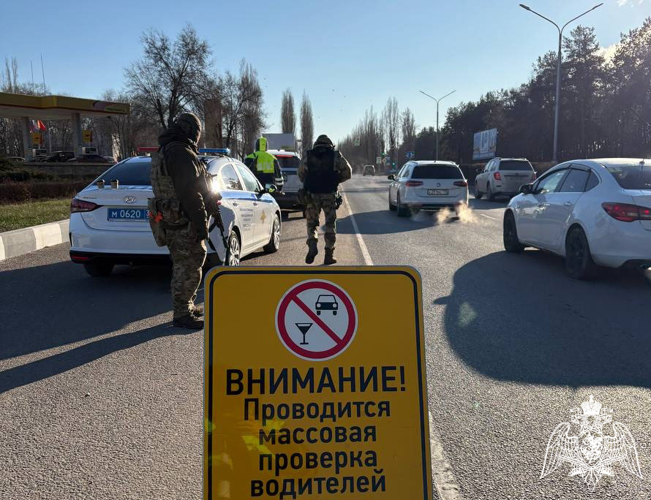 В Воронежской области сотрудники Росгвардии оказали содействие полиции при проведении масштабного профилактического рейда