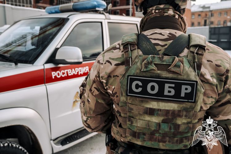 В ВОРОНЕЖЕ ПРИ СИЛОВОЙ ПОДДЕРЖКЕ СПЕЦНАЗА РОСГВАРДИИ ЗАДЕРЖАНЫ ПОДОЗРЕВАЕМЫЕ В ПОХИЩЕНИИ НЕСОВЕРШЕННОЛЕТНИХ