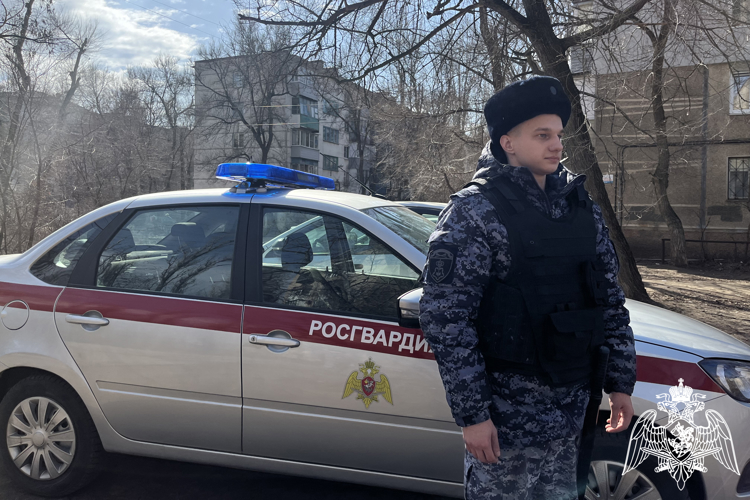 БОЛЕЕ 240 РАЗ ЗА НЕДЕЛЮ РОСГВАРДЕЙЦЫ В ВОРОНЕЖСКОЙ ОБЛАСТИ ВЫЕЗЖАЛИ ПО СИГНАЛУ «ТРЕВОГА»
