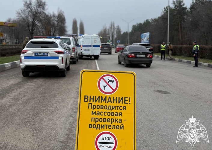 Сотрудники Росгвардии оказали содействие полиции при проведении масштабного профилактического рейда на дорогах Воронежской области