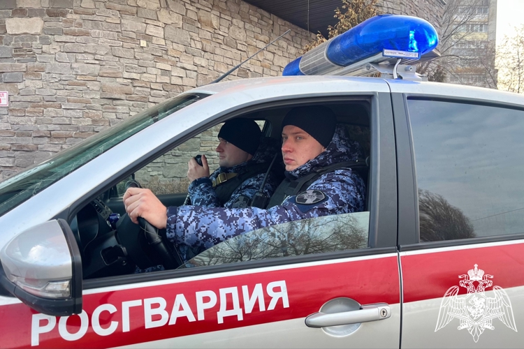 БОЛЕЕ 250 РАЗ ЗА НЕДЕЛЮ РОСГВАРДЕЙЦЫ В ВОРОНЕЖСКОЙ ОБЛАСТИ ВЫЕЗЖАЛИ ПО СИГНАЛУ «ТРЕВОГА»