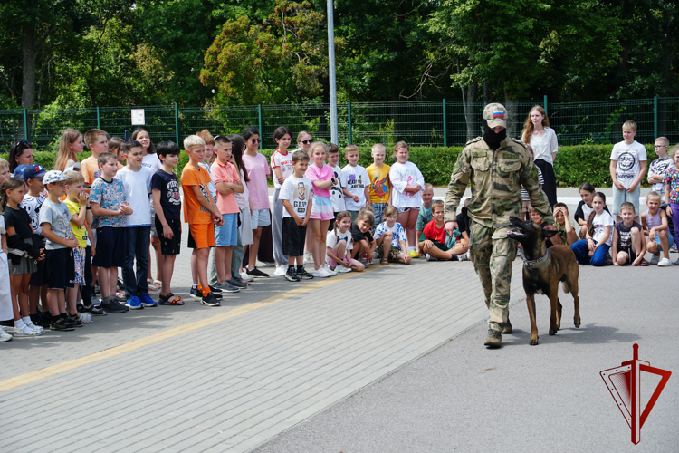 В Воронежской области состоялось мероприятие для школьников в рамках акции «Каникулы с Росгвардией» 