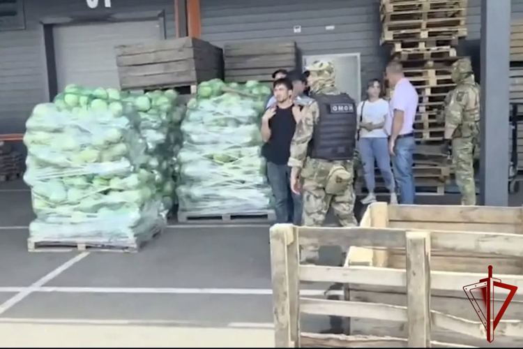 В Воронеже при содействии Росгвардии проведены профилактические мероприятия по выявлению нарушений миграционного законодательства