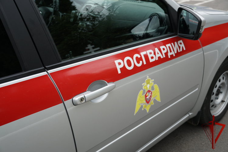 Более 200 раз за неделю росгвардейцы в Воронежской области выезжали по сигналу "Тревога"