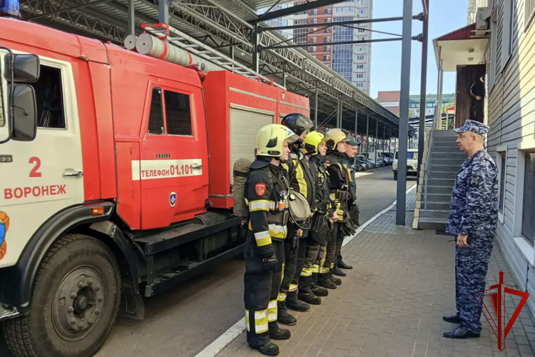 В Воронеже спецподразделения Росгвардии и МЧС провели совместную тренировку