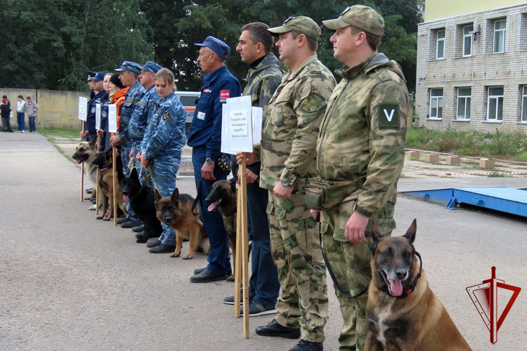 В Воронеже команда Росгвардии приняла участие в соревнованиях среди кинологических расчетов оперативных служб
