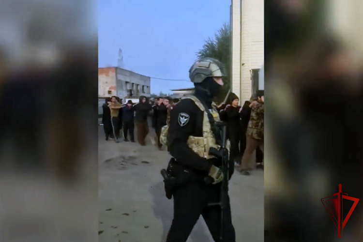 В Воронежской области при силовой поддержке Росгвардии состоялся второй этап профилактической операции «Нелегал-2026»